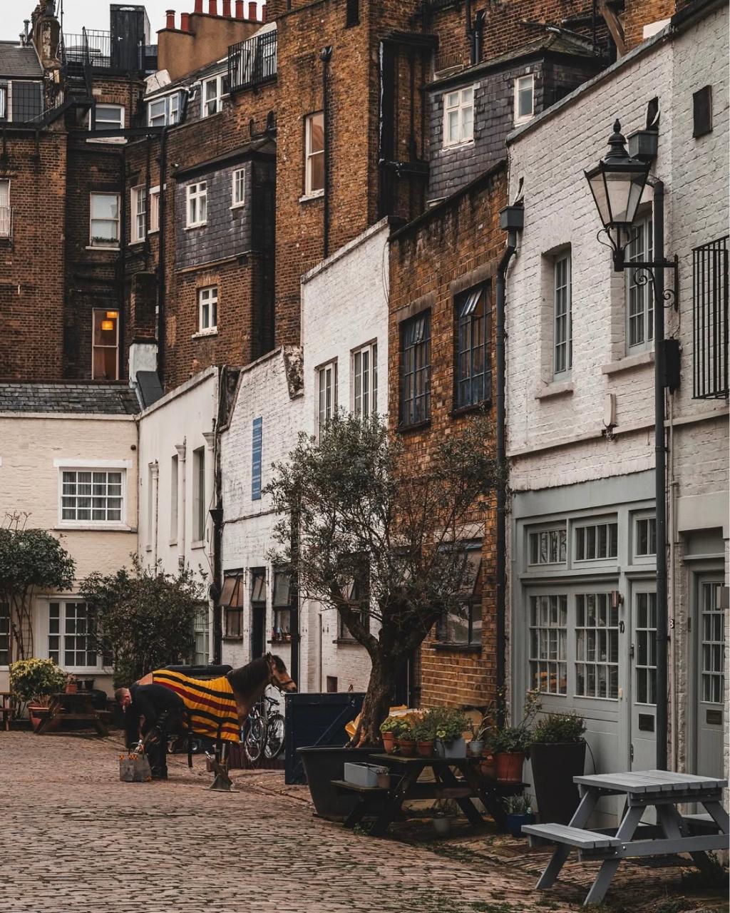 A neighbourhood street